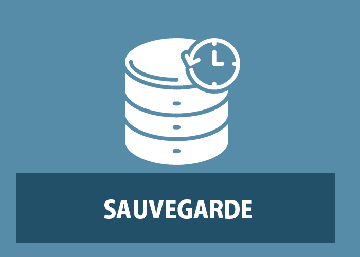 Sauvegarde